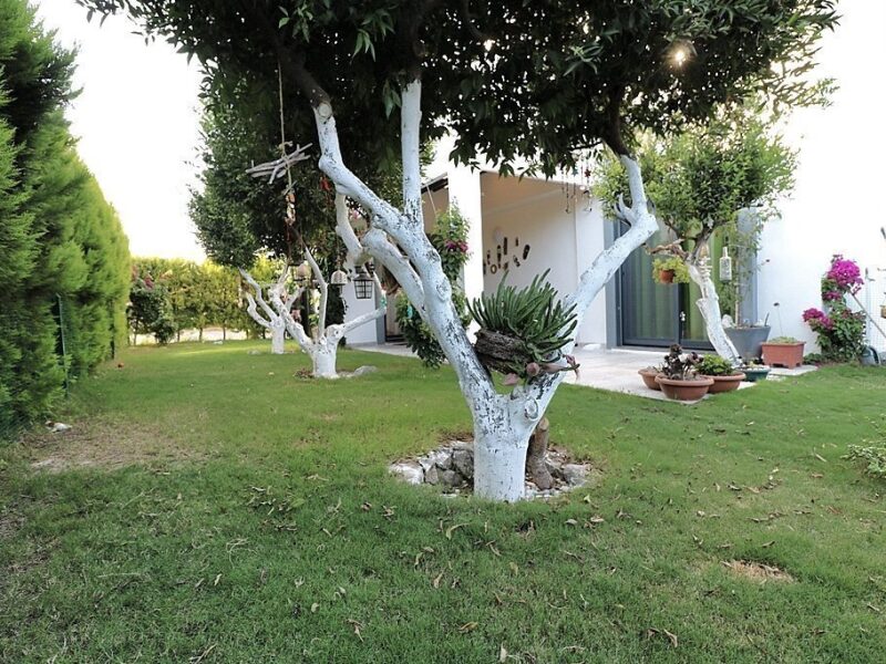 01-Villa-For-Sale-Bodrum-Turgutreis-2189